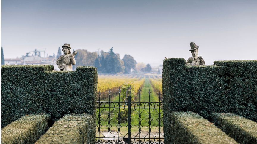 Neatly trimmed garden hedge with two classical statues overlooking a gated vineyard path leading into the distance, framed by trees and misty countryside.