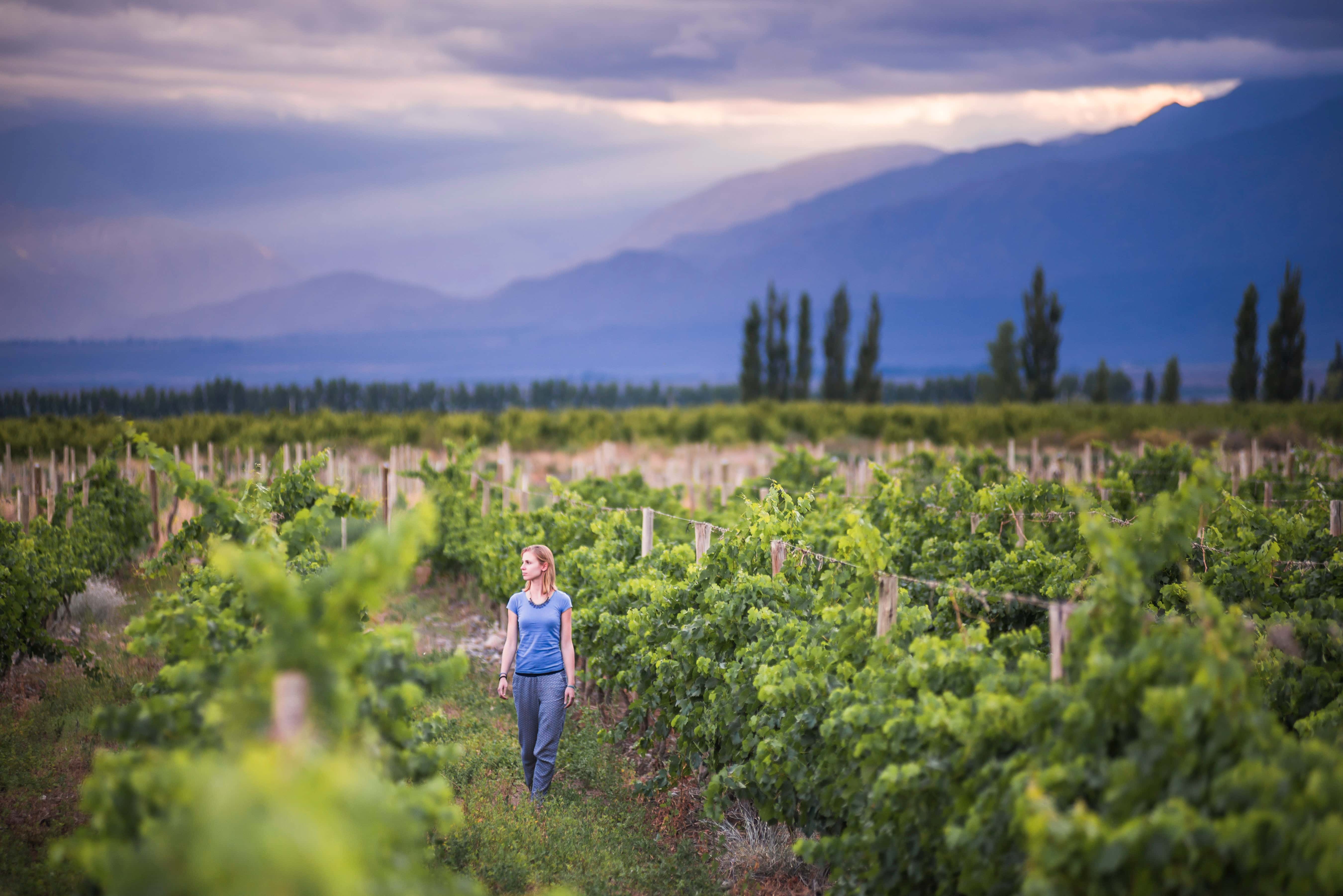 Woman walking through lush green vineyard at sunset with mountains in the background and dramatic sky overhead.